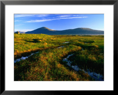 Peat Bogs, Rannoch Moor, Scotland by Grant Dixon Pricing Limited Edition Print image