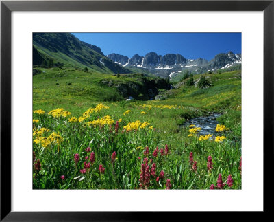 Wildflowers, American Basin by Russell Dohrmann Pricing Limited Edition Print image
