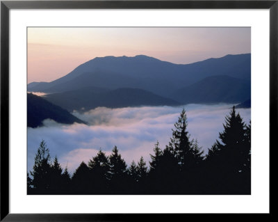 Fog, Hurricane Ridge, Olympic National Park, Wa by Brian Maslyar Pricing Limited Edition Print image