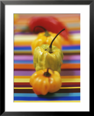 Four Peppers by Debi Treloar Pricing Limited Edition Print image