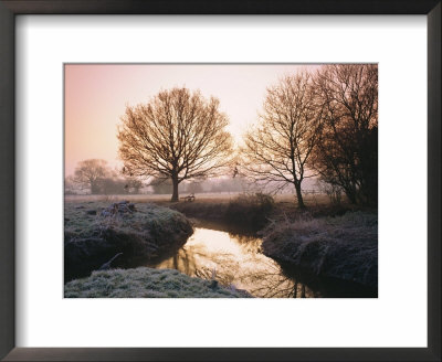 Winter Dawn On The River Bourne, Chobham, Surrey, England, Uk by Roy Rainford Pricing Limited Edition Print image
