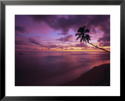 Gibbes Bay At Sunset, Barbados, West Indies, Caribbean, Central America by Gavin Hellier Pricing Limited Edition Print image
