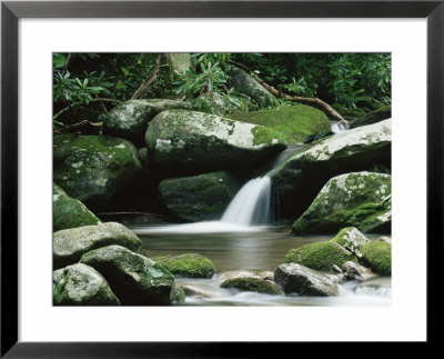 Cascade, Great Smoky Mountains National Park, Unesco World Heritage Site, Tennessee, Usa by James Hager Pricing Limited Edition Print image