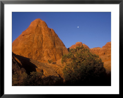 Full Moon Descending Above Balancing Rock, Arches National Park, Utah, Usa by Diane Johnson Pricing Limited Edition Print image