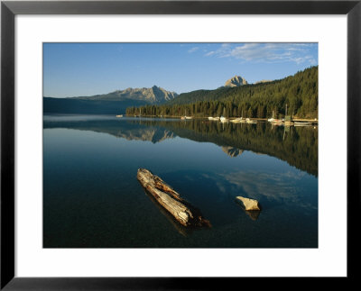 Calm Water With Submerged Log On A Mountain Lake by Michael S. Lewis Pricing Limited Edition Print image