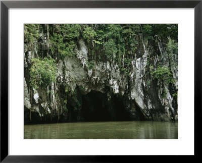 Vines On Rocky Waterside Cliffs At The Entrance To A Cave by Tim Laman Pricing Limited Edition Print image