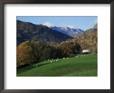 Chapel Stile, Great Langdale, Lake District National Park, Cumbria, England, United Kingdom by Roy Rainford Pricing Limited Edition Print image