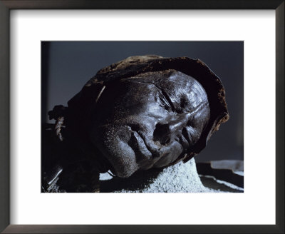Mummy Of Iron Age Sacrificial Victim, Tolland Man, Denmark, Scandinavia by Christina Gascoigne Pricing Limited Edition Print image
