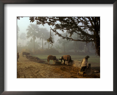 Village Scene, Vaishali, India by James Gritz Pricing Limited Edition Print image