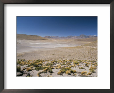Altiplano And High-Level Volcanoes, El Tatio Basin, Above Calama, Atacama Desert, Chile by Tony Waltham Pricing Limited Edition Print image