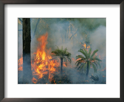 A Controlled Fire Helps Prevent Flooding Early In The Wet Season by Randy Olson Pricing Limited Edition Print image