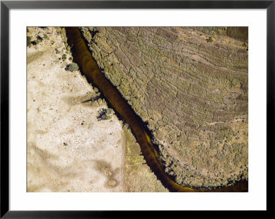 Hippos Can Be Seen In These Clear Waters Of The Okavango River System, Botswana by Michael Fay Pricing Limited Edition Print image
