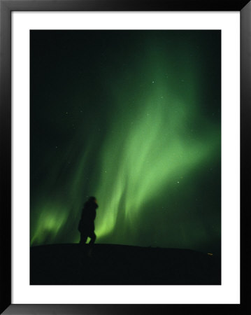 A Brilliant Display Of Aurorae With A Persons Silhouette In The Image by Paul Nicklen Pricing Limited Edition Print image