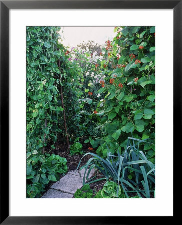 Vegetable & Flower Garden by Sunniva Harte Pricing Limited Edition Print image