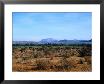 Samburu Plains, Kenya by Elizabeth Delaney Pricing Limited Edition Print image