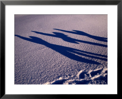 Shadows Of Snow-Boarders At A Ski Resort, Gotland, Sweden by Christian Aslund Pricing Limited Edition Print image