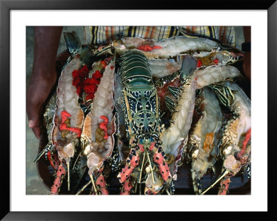 Lobster On Tray About To Be Barbecued, Djibouti, Djibouti by Frances Linzee Gordon Pricing Limited Edition Print image