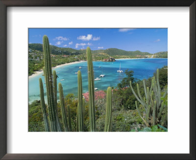 Cactus Plants And Bay Of St. Jean, St. Barthelemy, Caribbean, West Indies, Central America by Fred Friberg Pricing Limited Edition Print image