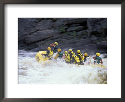 Rafters In Cribworks On The Penobscot, Northern Forest, Maine, Usa by Jerry & Marcy Monkman Pricing Limited Edition Print image