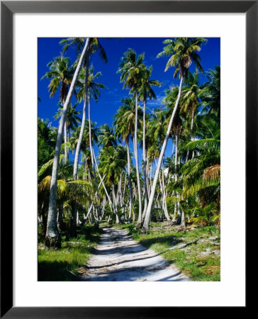 Gravel Road Through Palm Trees, French Polynesia by Jean-Bernard Carillet Pricing Limited Edition Print image