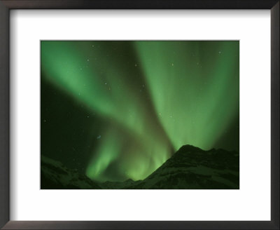 Northern Lights, Arctic National Wildlife Refuge, Alaska Usa by Steve Kazlowski Pricing Limited Edition Print image
