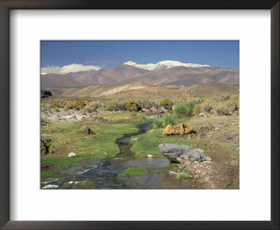 Stream In The Atacama Desert With The Andes On The Horizon, San Pedro De Atacama Region, Chile by Robert Francis Pricing Limited Edition Print image