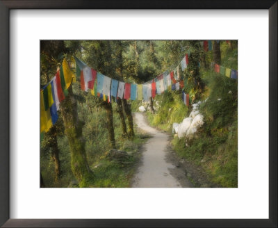 Path And Prayer Flags, Mcleod Ganj, Dharamsala, Himachal Pradesh State, India by Jochen Schlenker Pricing Limited Edition Print image