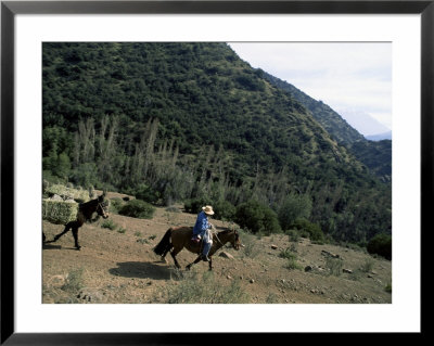 Man On Horse With Donkey And Hay, On The Outskirts Of Santiago, Chile by Aaron Mccoy Pricing Limited Edition Print image