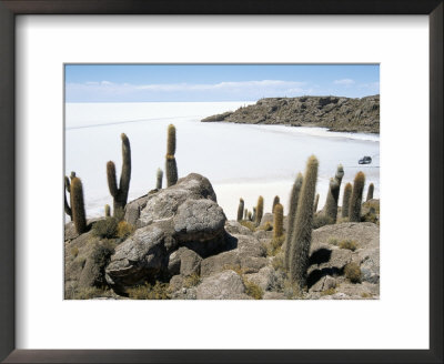 Cacti On Isla De Los Pescadores, And Salt Flats, Salar De Uyuni, Southwest Highlands, Bolivia by Tony Waltham Pricing Limited Edition Print image