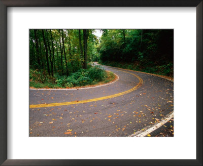 Curve In Road Of Highway 32, Great Smoky Mountains National Park, Tennessee by John Elk Iii Pricing Limited Edition Print image