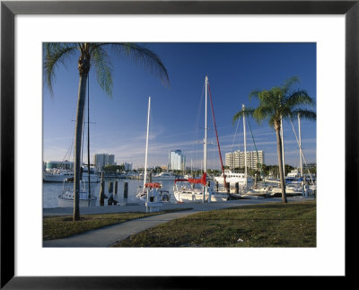 Sarasota Marina From Island Park, Sarasota, Florida, Usa by Ruth Tomlinson Pricing Limited Edition Print image