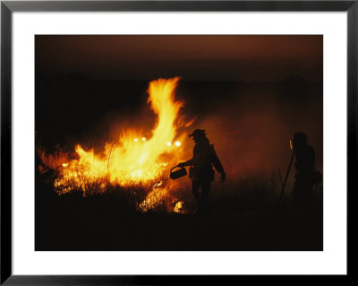 Managers Of The Wildlife Reserve Burn Bushes To Simulate Fires That Keep The Prairie Healthy by Joel Sartore Pricing Limited Edition Print image
