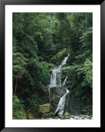 Waterfall Cascading Down Rock In A Lush Woodland Setting by Tim Laman Pricing Limited Edition Print image