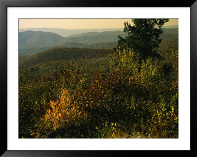 Scenic Overlook At Tanners Ridge With Blue Ridge Mountains Beyond by Raymond Gehman Pricing Limited Edition Print image