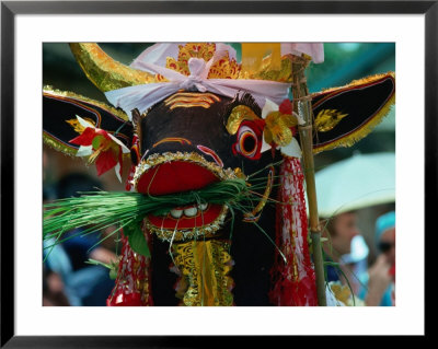 Sacred Decorated Cremation Cow, Bali, Indonesia by John Hay Pricing Limited Edition Print image