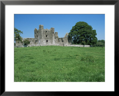Bective Abbey, Cistercian, Dating From The 12Th Century, Trim, County Meath, Leinster, Ireland by Nedra Westwater Pricing Limited Edition Print image