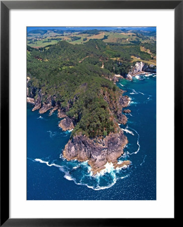 Coast South Of Hahei, Coromandel Peninsula by David Wall Pricing Limited Edition Print image