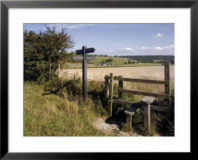 Stile On The Ridgeway Path, Pitstone Hill, Chilterns, Buckinghamshire, England by David Hughes Pricing Limited Edition Print image
