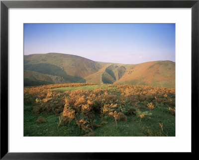 An Autumn Evening, The Long Mynd, Shropshire, England, United Kingdom by David Hughes Pricing Limited Edition Print image
