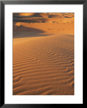Sand Dunes Of The Erg Chebbi, Sahara Desert Near Merzouga, Morocco, North Africa, Africa by Lee Frost Pricing Limited Edition Print image