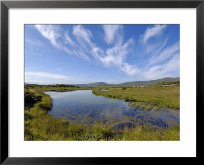 Achill Island Near Cashel, County Mayo, Connacht, Republic Of Ireland by Gary Cook Pricing Limited Edition Print image