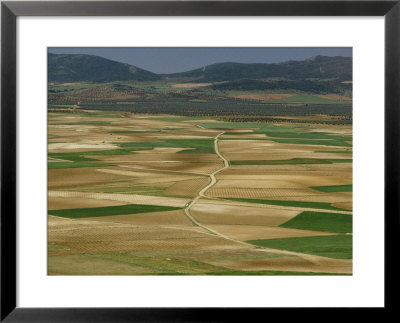 View From Windmill Hill, Consuegra, Toledo, Castile La Mancha, Spain by Michael Busselle Pricing Limited Edition Print image