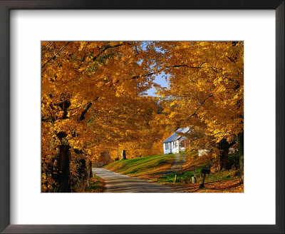 Country Road In Autumn, Usa by Izzet Keribar Pricing Limited Edition Print image