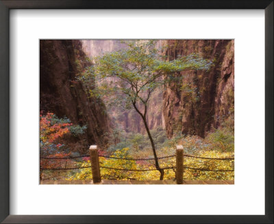 Autumn Colors, Xihai (West Sea) Valley, Mount Huangshan (Yellow Mountain), Anhui Province by Jochen Schlenker Pricing Limited Edition Print image