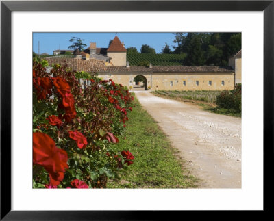 Vineyard And Roses, Chateau Grand Mayne, Saint Emilion, Bordeaux, France by Per Karlsson Pricing Limited Edition Print image