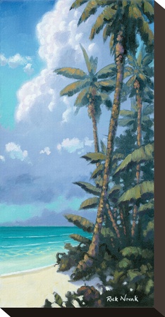 Treasure Island Ii by Rick Novak Pricing Limited Edition Print image