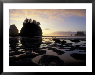 Seastacks At Second Beach, Washington, Usa by William Sutton Pricing Limited Edition Print image