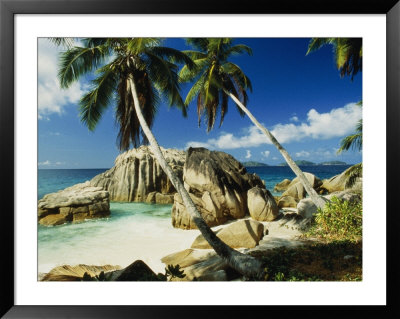 Scenic View Of The Tropical Island Of La Digue In The Seychelles by Bill Curtsinger Pricing Limited Edition Print image
