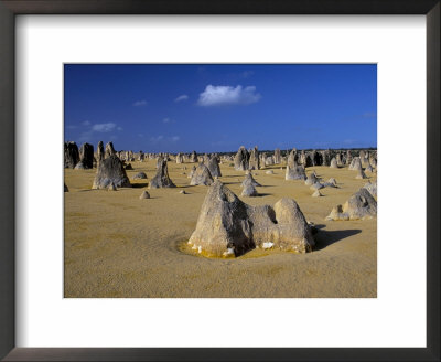 Limestone Pillars In The Pinnacles Desert, Nambung National Park, Western Australia, Australia by Steve & Ann Toon Pricing Limited Edition Print image