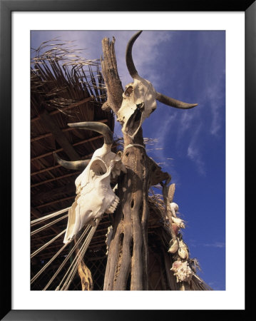 Old Cattle Skulls, Baja California, Mexico by Walter Bibikow Pricing Limited Edition Print image